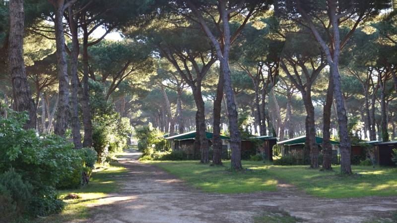 78-Parco-della-Gallinara-Camping-Village-Roma-campeggio